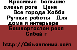 Красивые  большие оленьи рога › Цена ­ 3 000 - Все города Хобби. Ручные работы » Для дома и интерьера   . Башкортостан респ.,Сибай г.